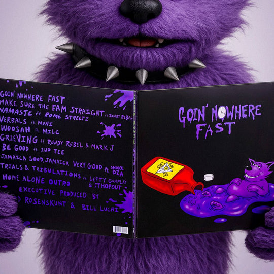 Cuzzin Howie Vinyl - GoodTalk